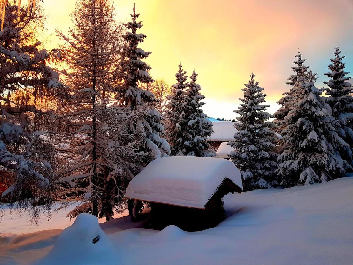 Appartement Cosy Aux Saisies N1 Les Saisies Bagian luar foto